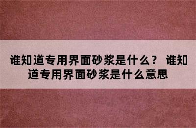 谁知道专用界面砂浆是什么？ 谁知道专用界面砂浆是什么意思